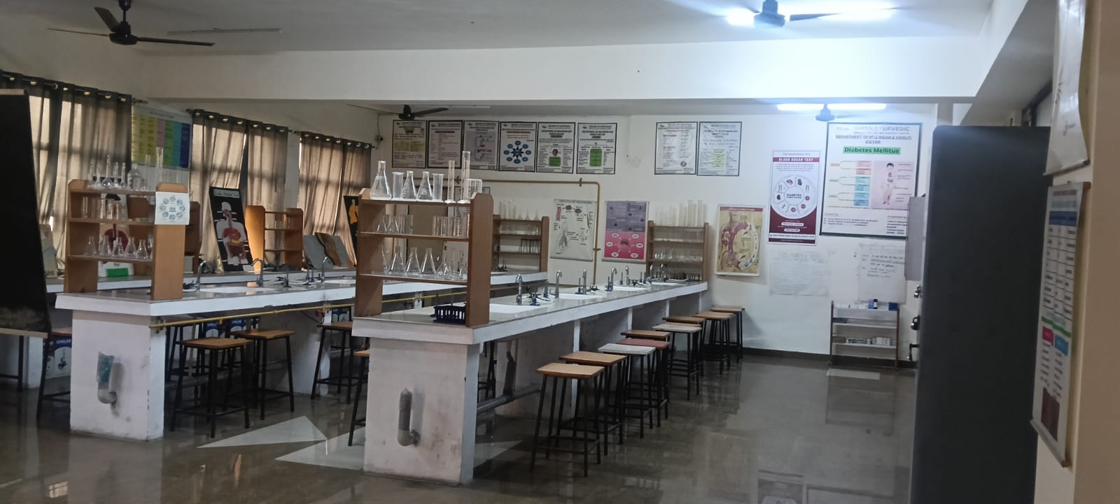 Department of Rog Nidan Evam Vikruti Vigyan - Lab 2